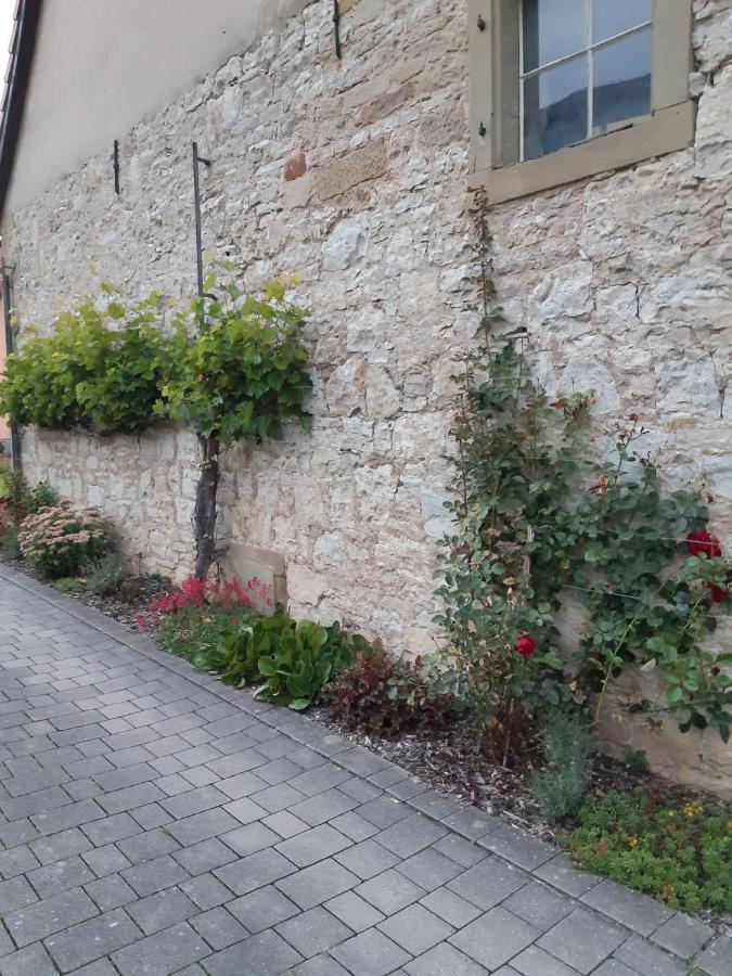Fewo Koerner Seinsheim Im Weinparadies Exterior foto